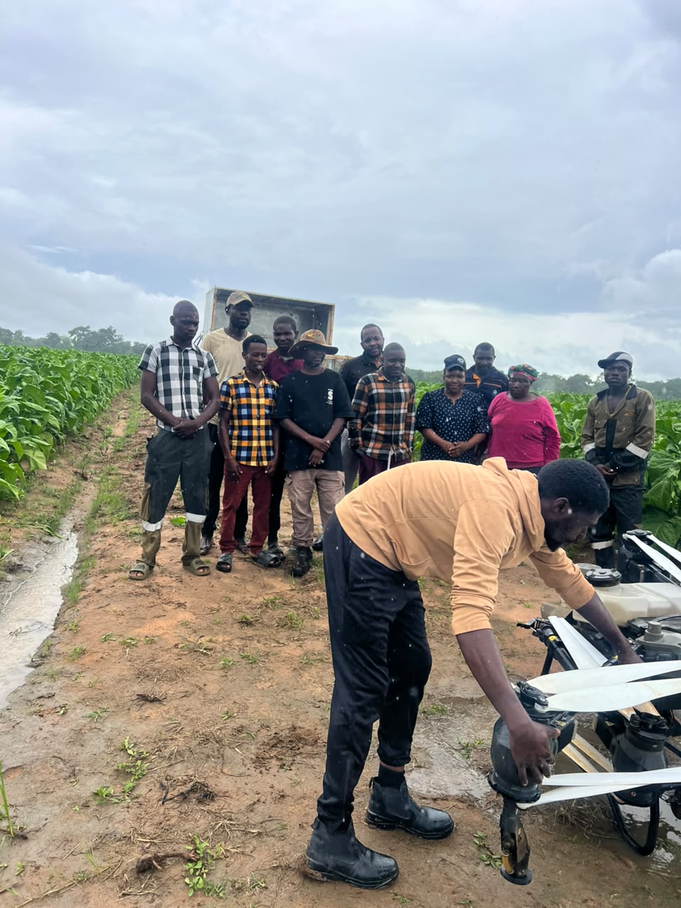 A drone being prepared while growers look on